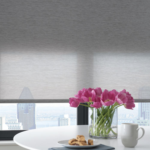 Roller Shades & Roller Window Treatments