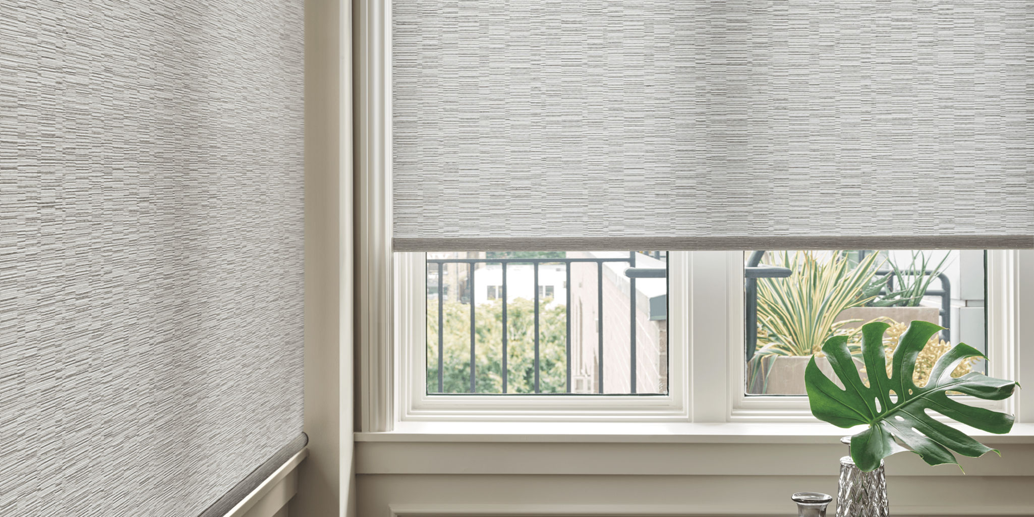 gray roller shades