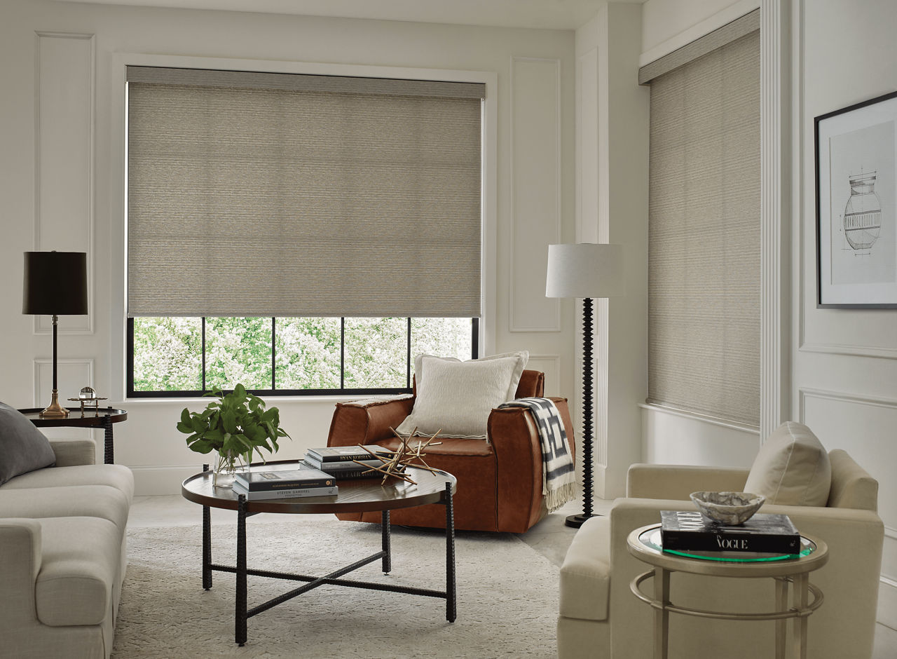 Hunter Douglas Remembrance Roller Shade with Toile Collection Fabric 