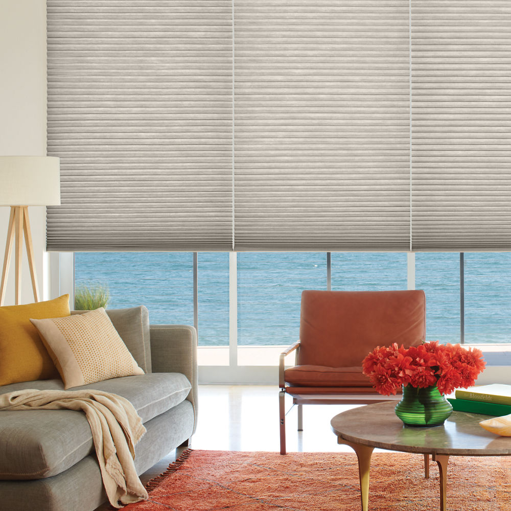 Living room with window shades
