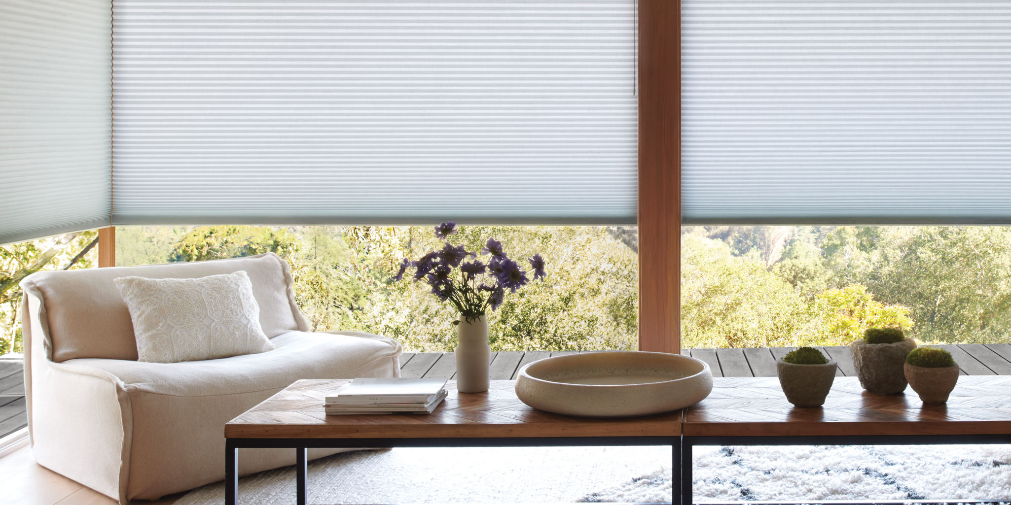 Promotions for Hunter Douglas Window Treatment Dealer Premier Blinds