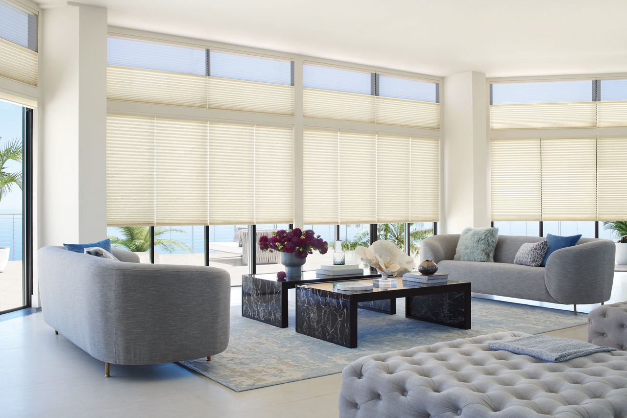 Duette Honeycomb Shades in Whisper Chiffon