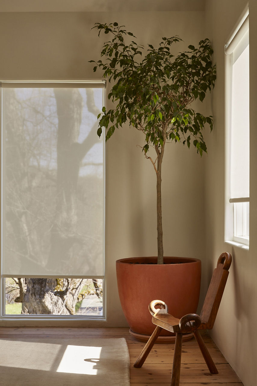 Designer Roller Shades in White Hall 