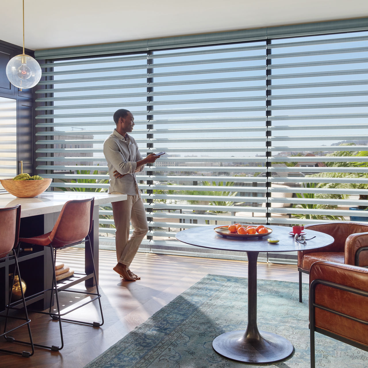 Room Darkening Blinds  Blackout Shades - Hunter Douglas