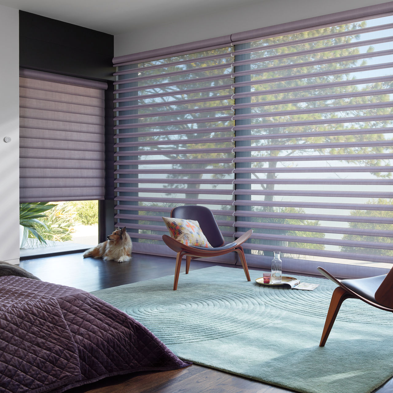 Best Blinds for Living Room - Hunter Douglas