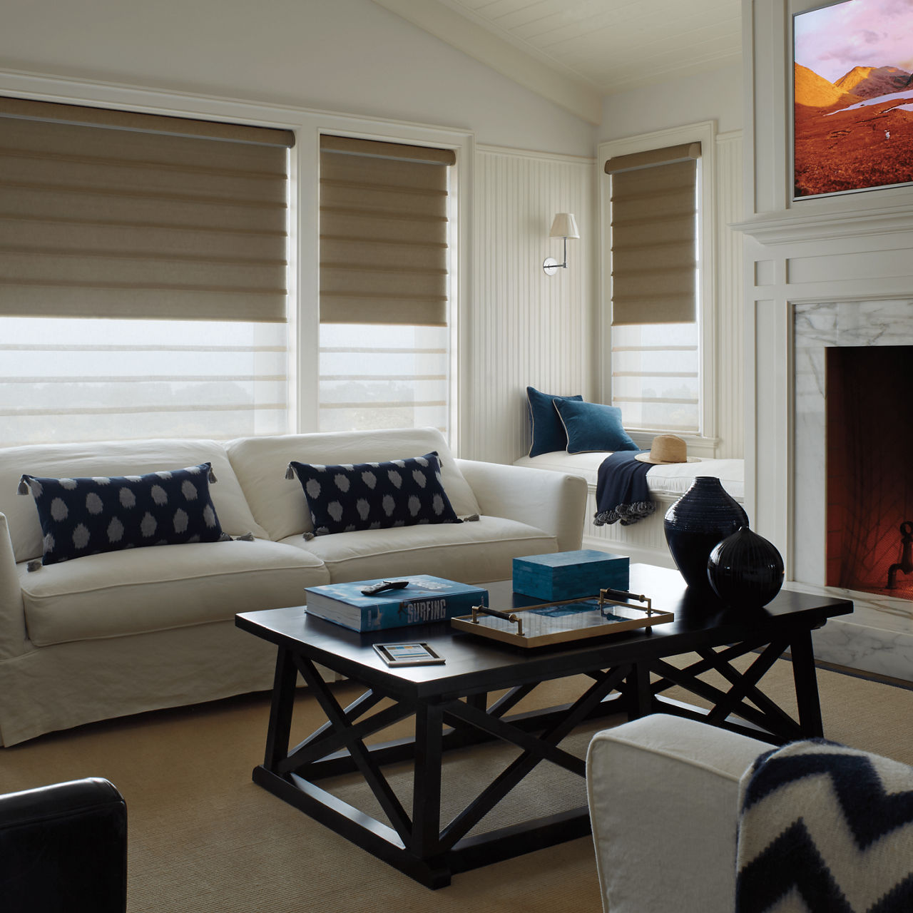 Hunter Douglas Remembrance Roller Shade with Toile Collection Fabric 